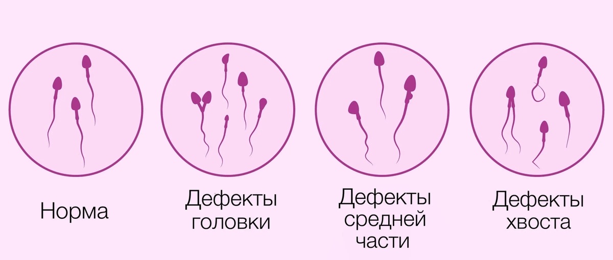 https://clck.ru/3Sh7Gy