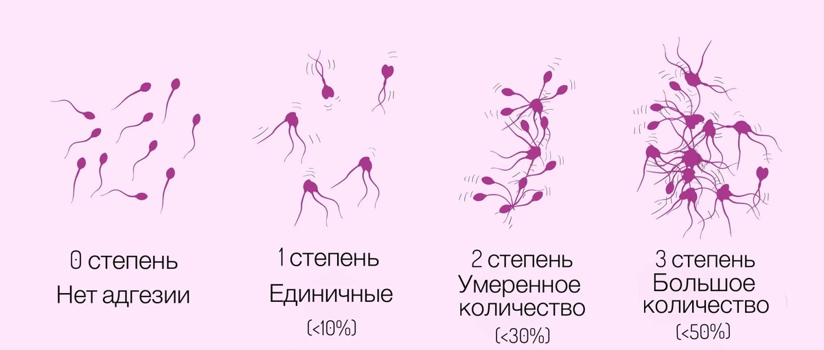 https://clck.ru/3Sh7cF