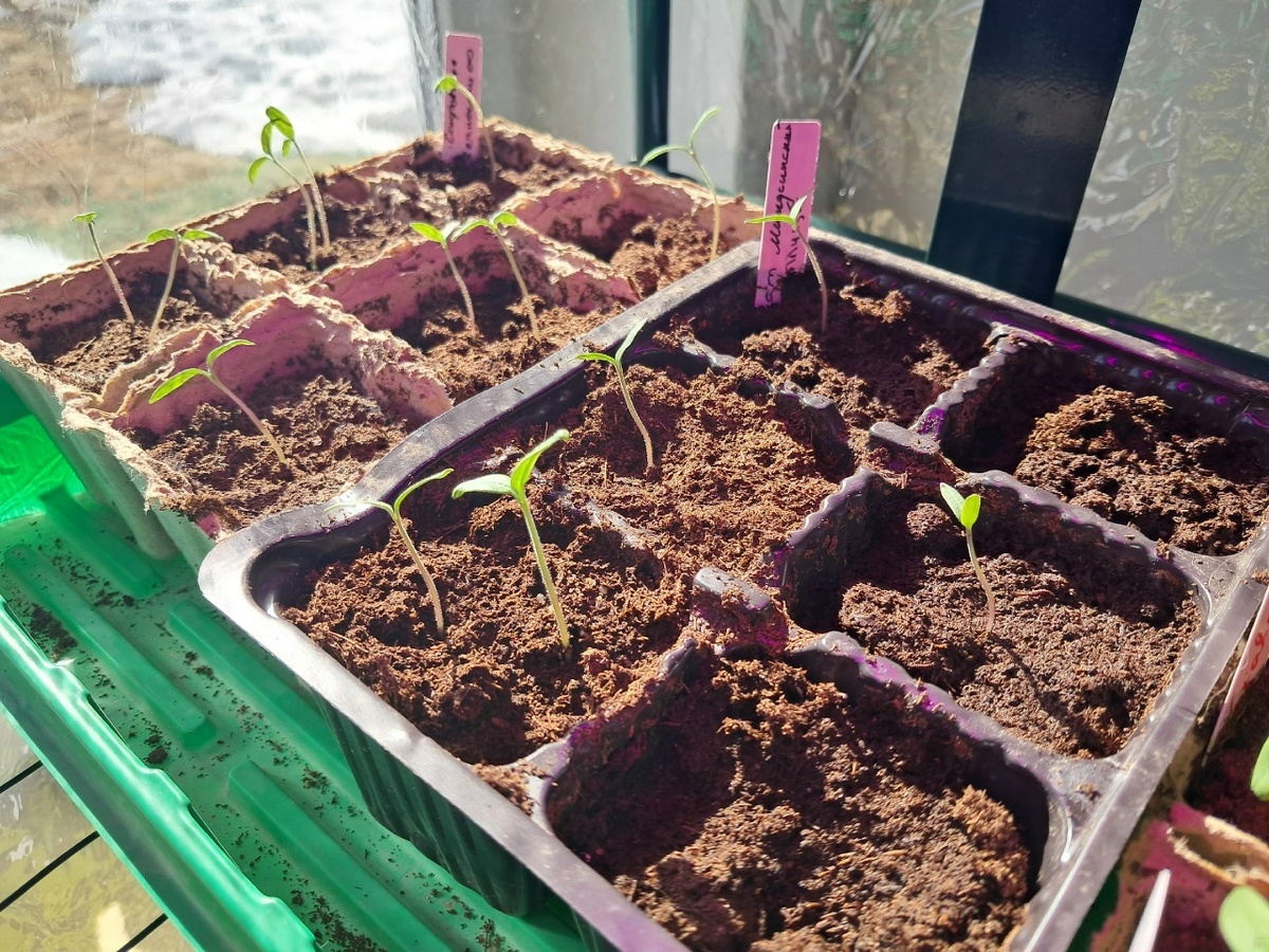 Еще немножко и надо будет пикировать