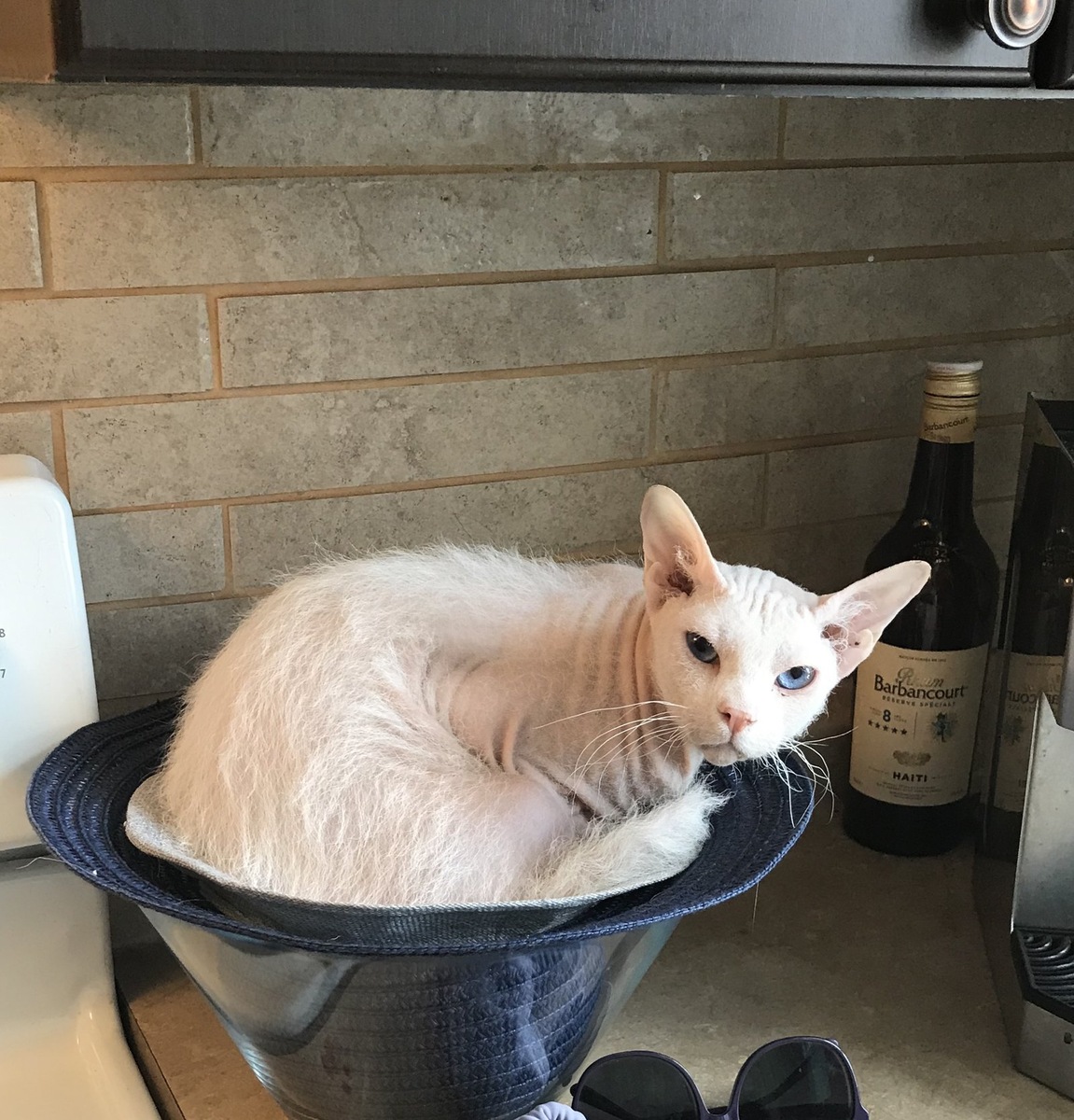    При подборе рациона учитывайте вкусовые предпочтения и состояние здоровья питомца