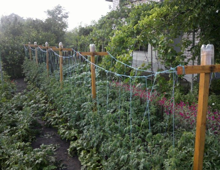 Фото с Пинтерест