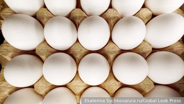     Фото: Ekaterina Sychkova/ura.ru/Global Look Press   
 Текст: Ольга Иванова