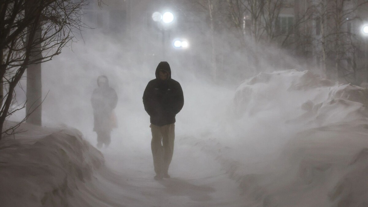    Фото: Андрей Ткачев / «Ямал-Медиа»
