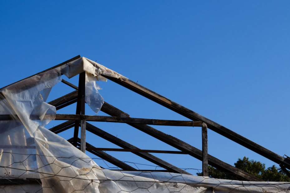    Shutterstock/FOTODOM