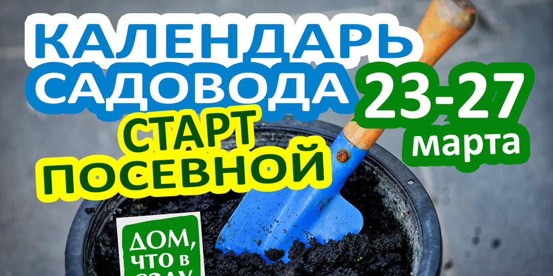 Календарь садовода: старт посевной — 23–27 марта
