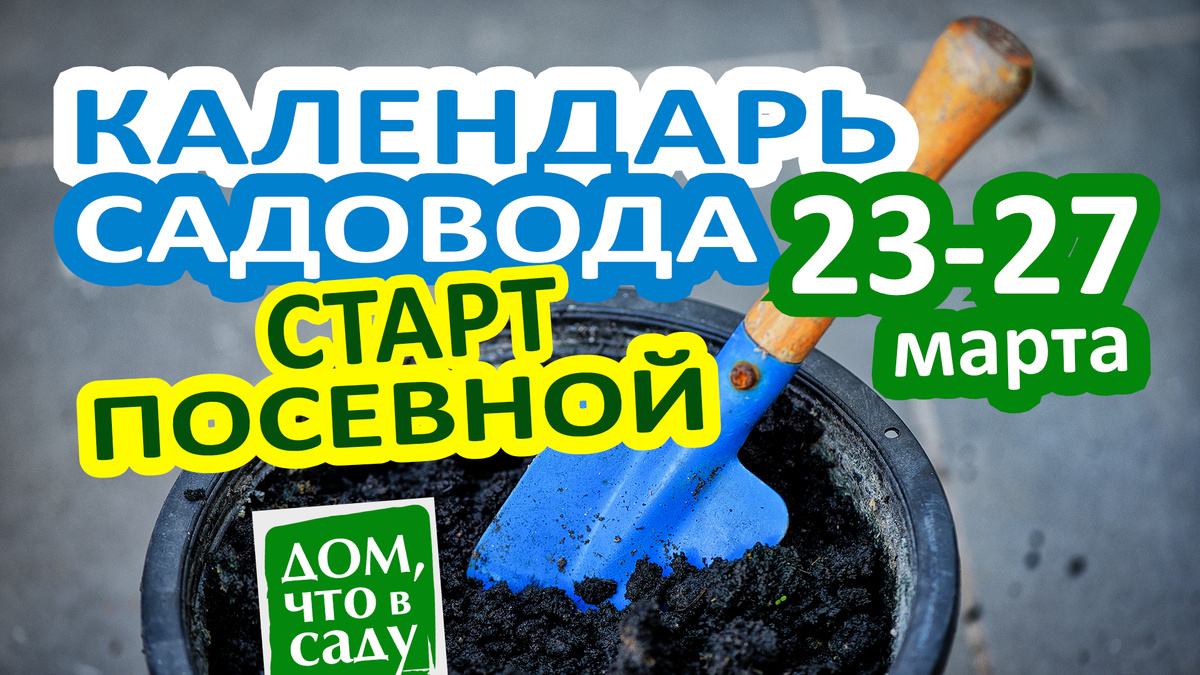 Дом, что в саду