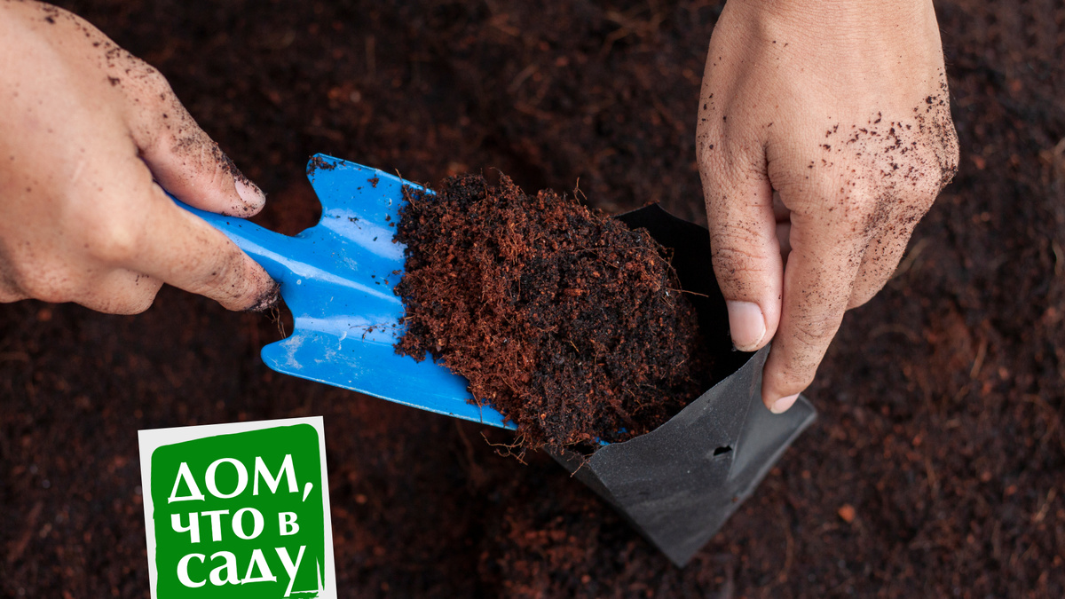 Дом, что в саду