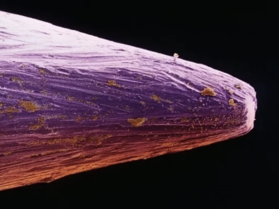    Исследователи превратили живые бактерии в биоэлектрический датчик