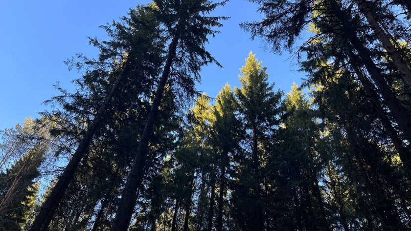    Фото редакции