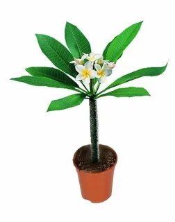 Фото из интернета.