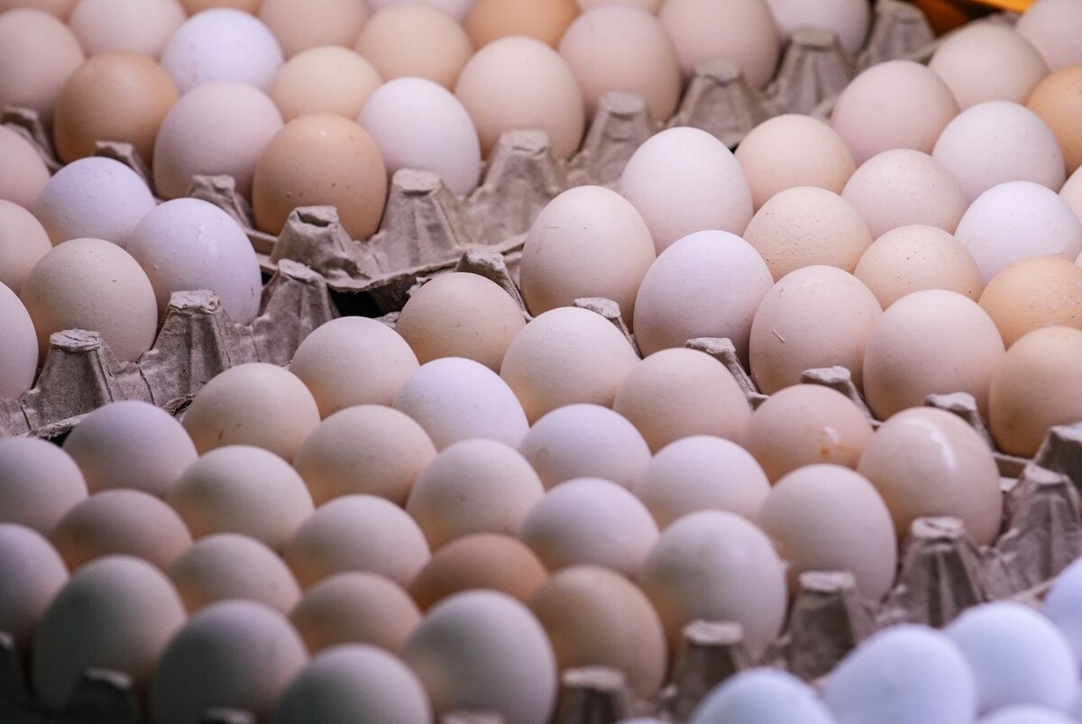     / Источник: © ИЗВЕСТИЯ/Сергей Лантюхов