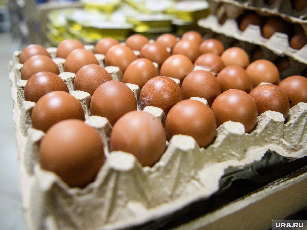     С сентября 2023 года зафиксировано 14 обращений из-за проблем с поставками яиц с Украины, указано в материале