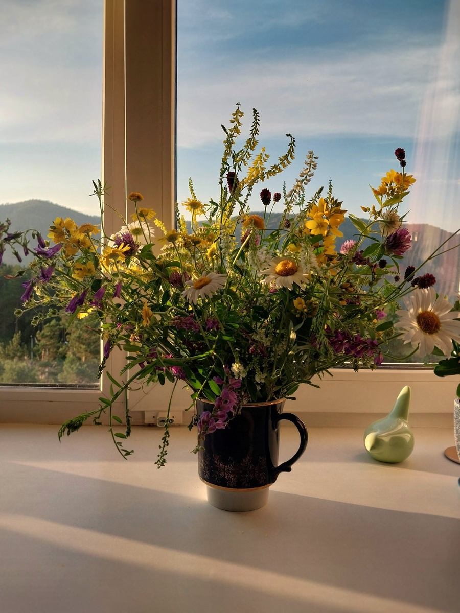 Июльский букет из леса