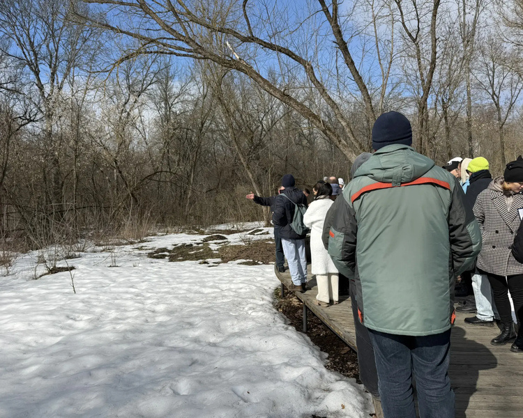     В Курске парк альпак планируют перенести вглубь Боевки