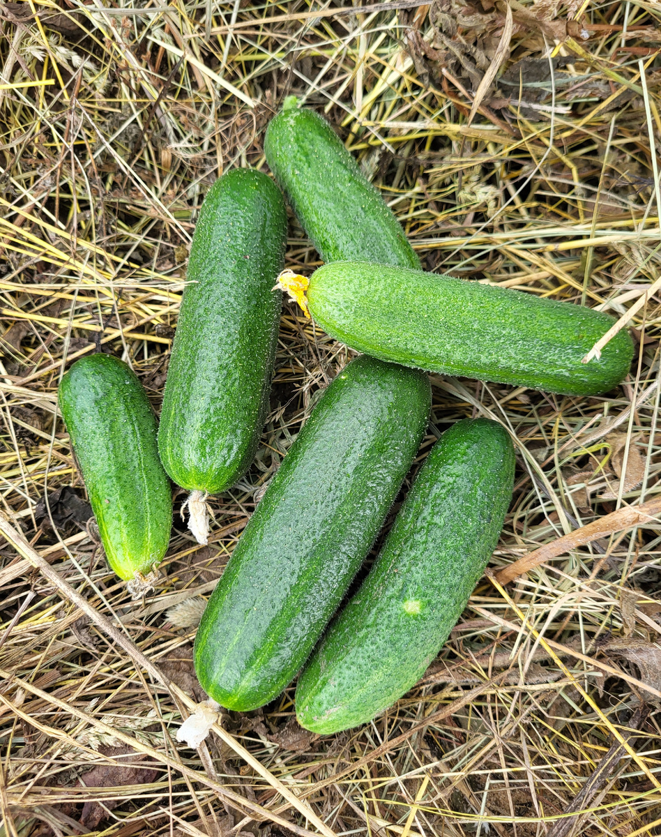 Фото из домашнего архива 