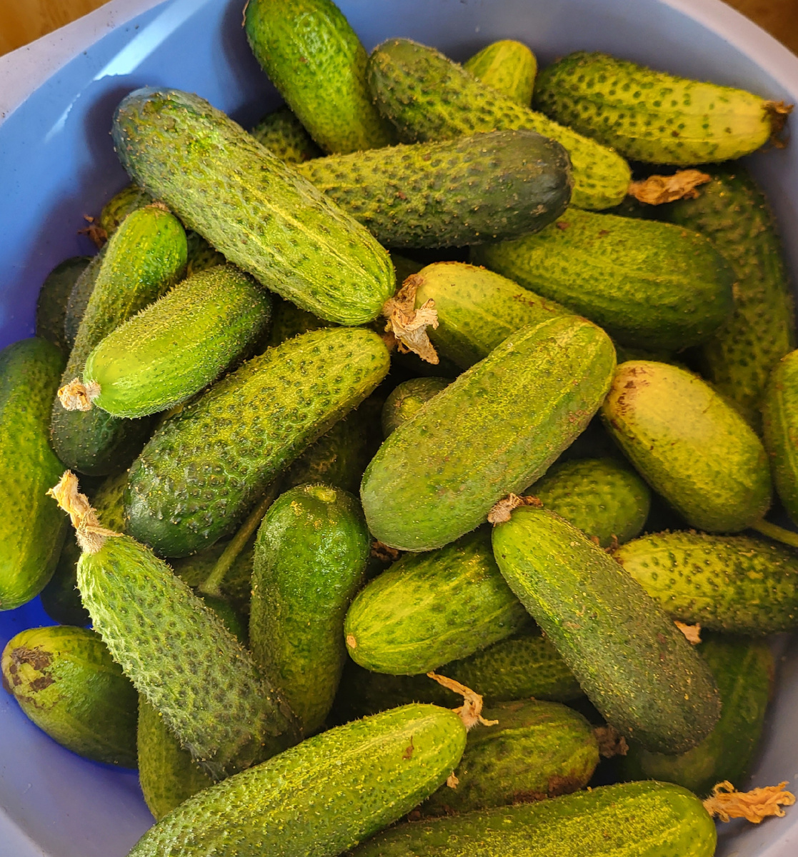 Фото из домашнего архива 