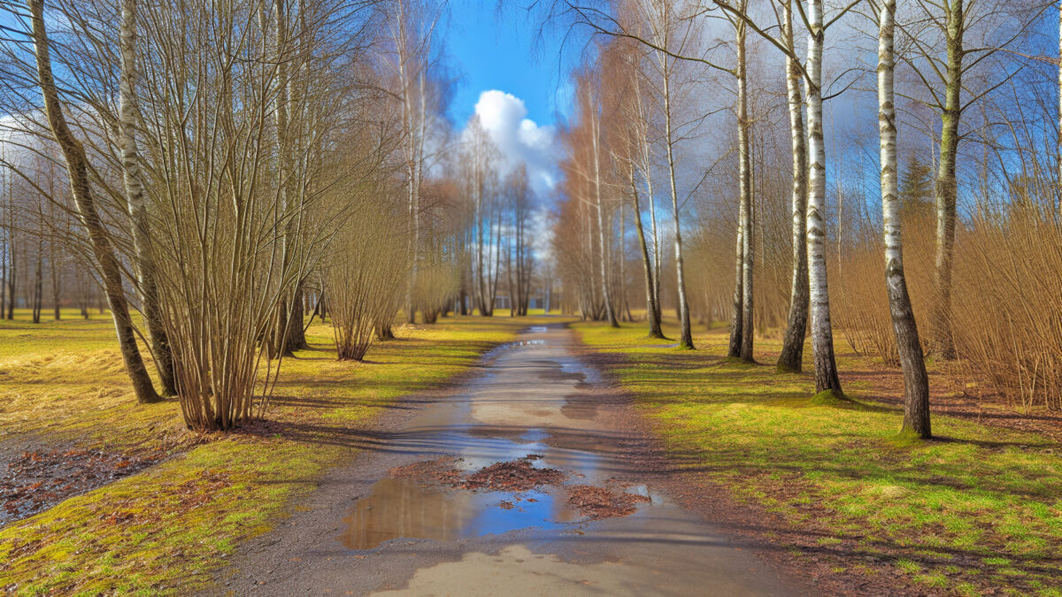    Фото - slanews.ru Юлия Андриенко