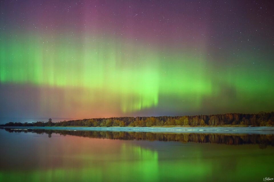    Полярное сияние в Тверской области Фото: АиФ/ Владимир Портуаров