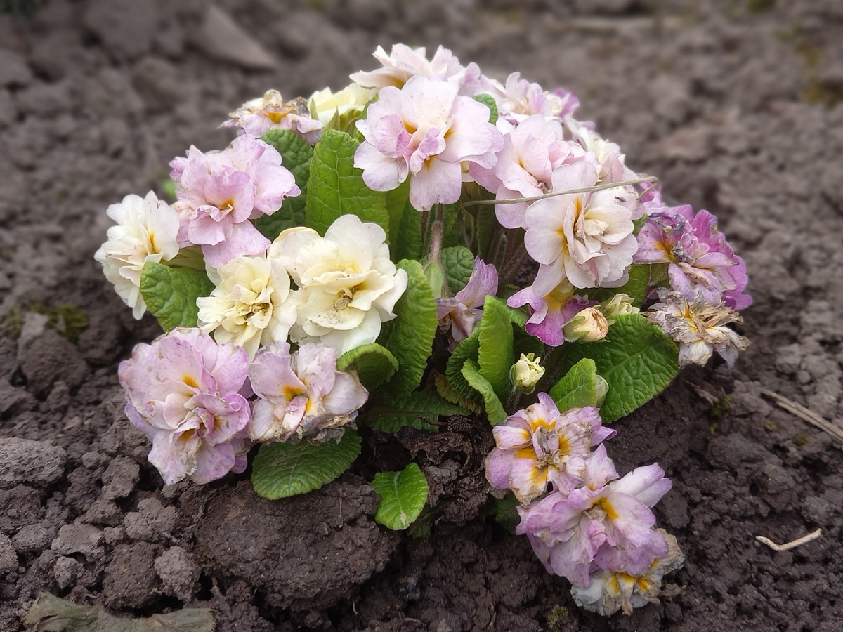 11 мая 2024 года.