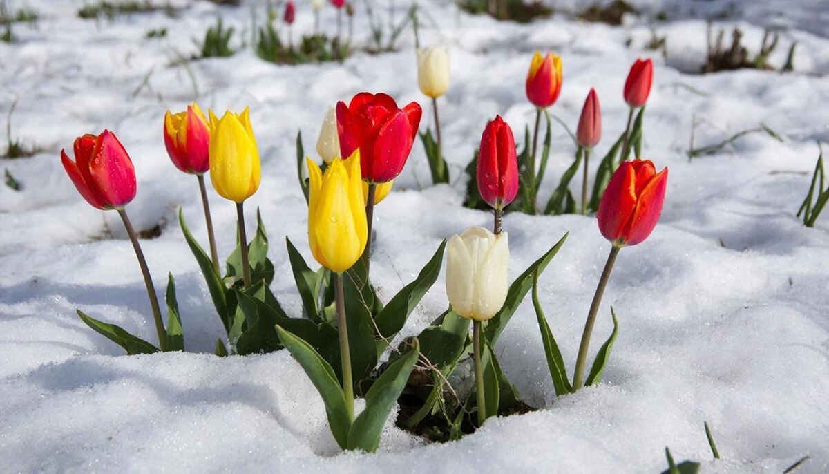 День для комфорта, удовольствия  и мягкой силы.