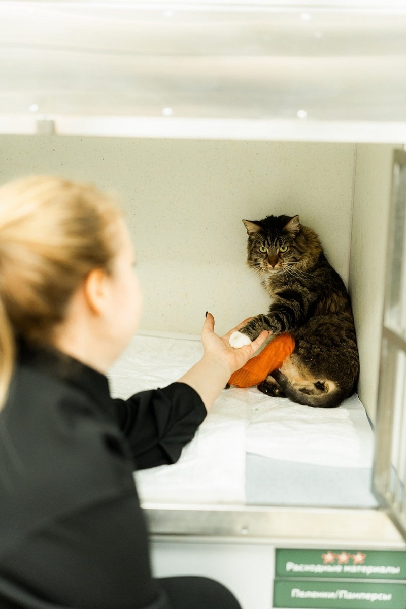 Создать карусель