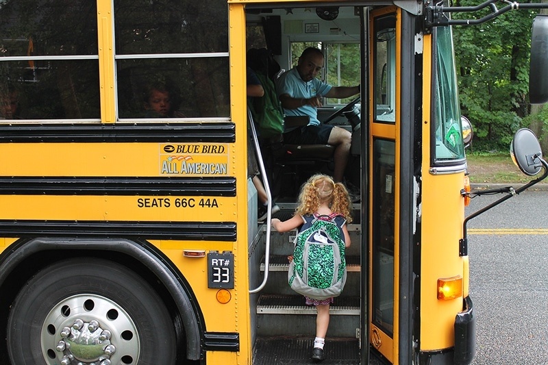 фото из свободного источника и в иллюстративных целях:)