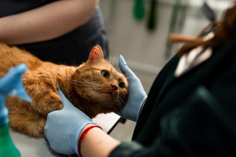 Создать карусель