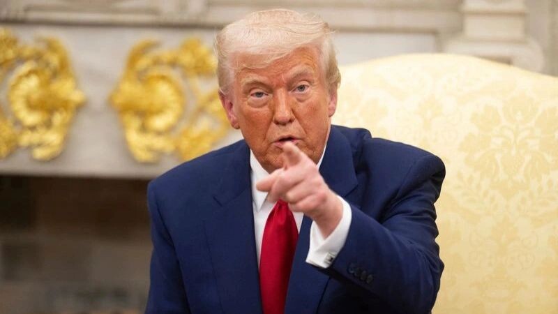    Фото: noamgalai/Shutterstock/Fotodom