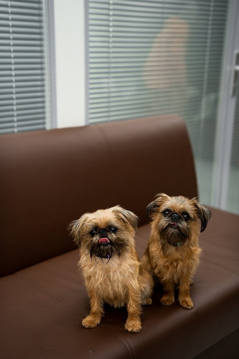 Создать карусель