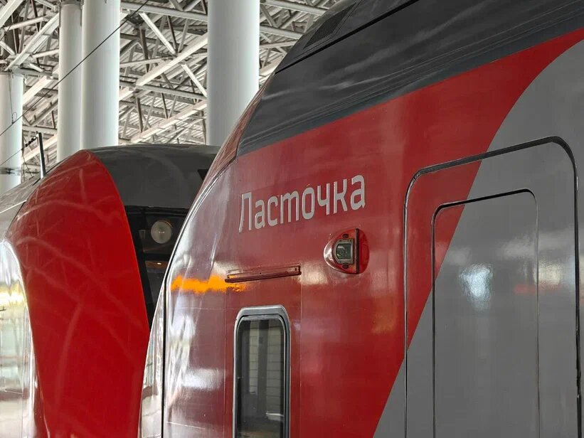    Фото: Юрий Серебренников/BFM Кубань