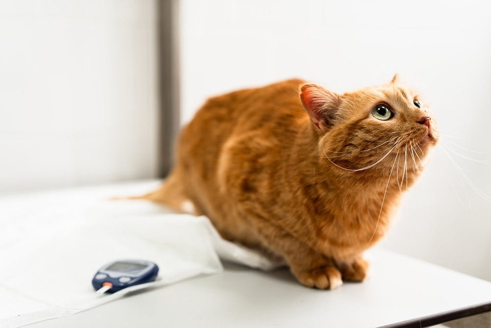 Создать карусель