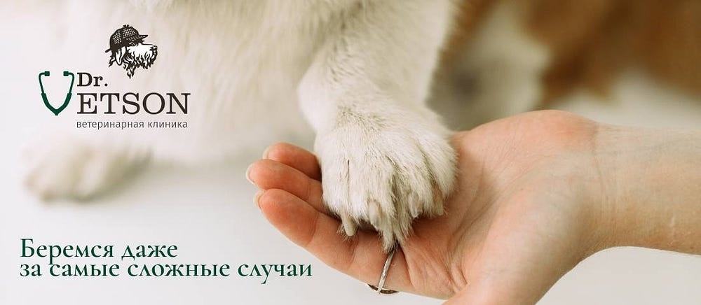 Создать карусель