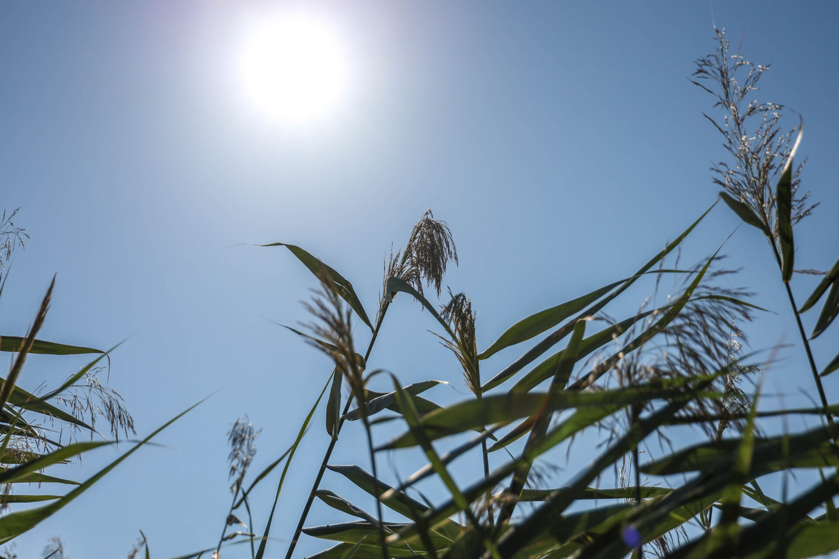    Фото: ТРК Таврия