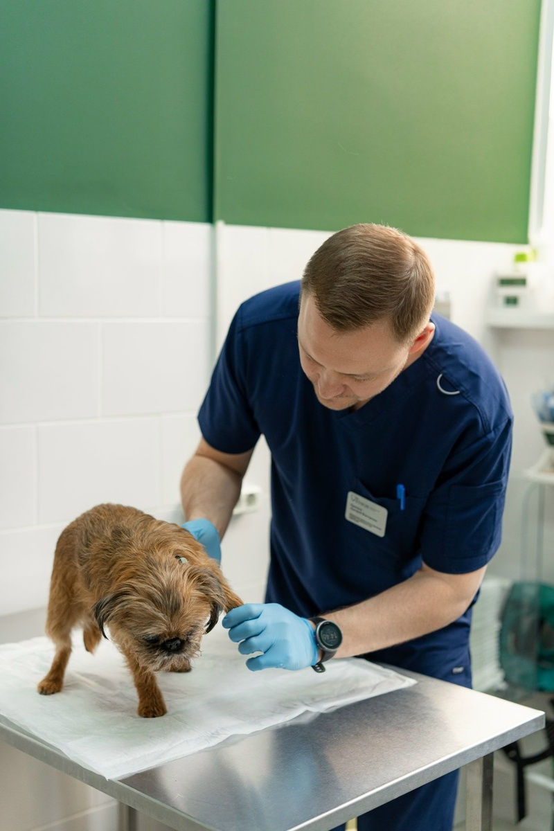 Создать карусель