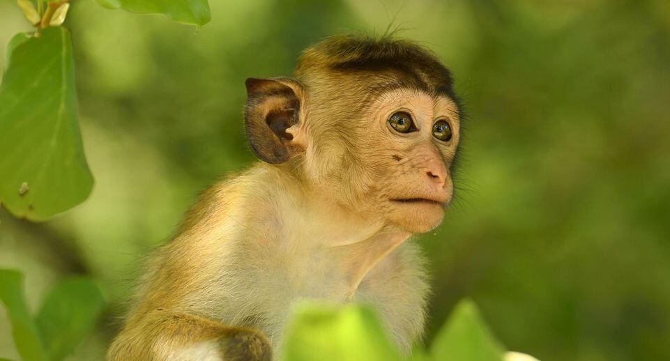    Stefan Huwiler/imageBROKER.com / www.globallookpress.com