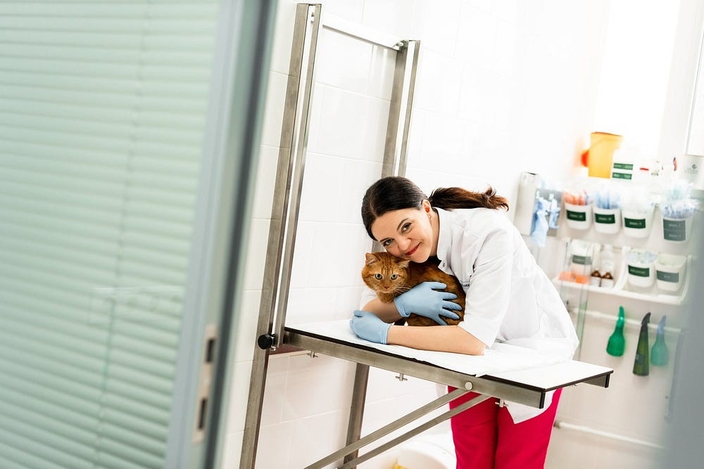 Создать карусель