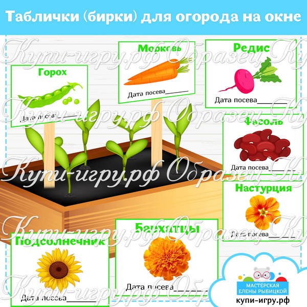 Таблички (бирки) для огорода на окне в детском саду