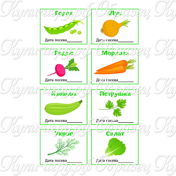 Таблички (бирки) для огорода на окне в детском саду