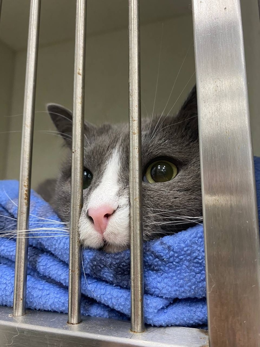 Создать карусель