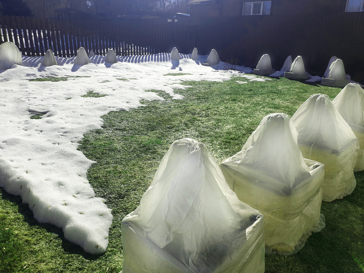 Лужайка перед домом.