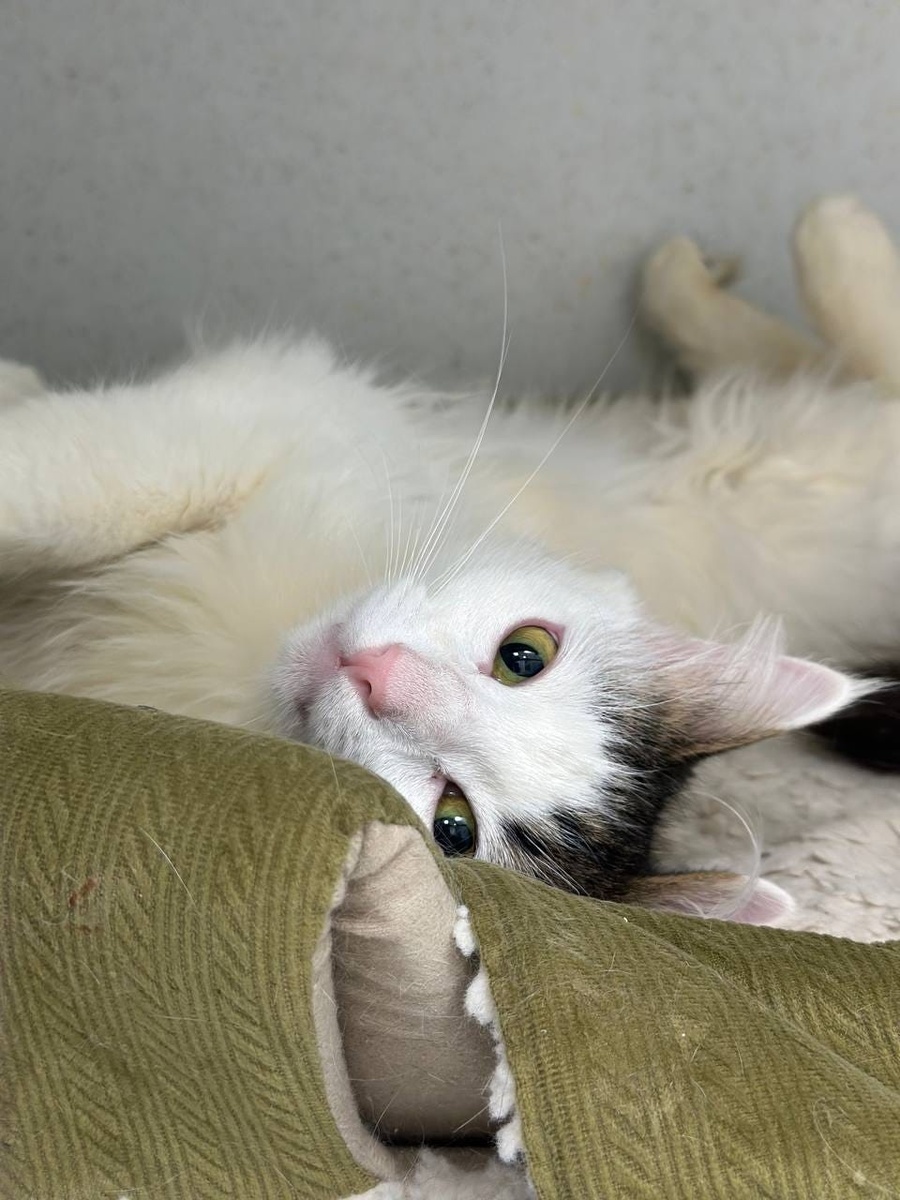 Создать карусель