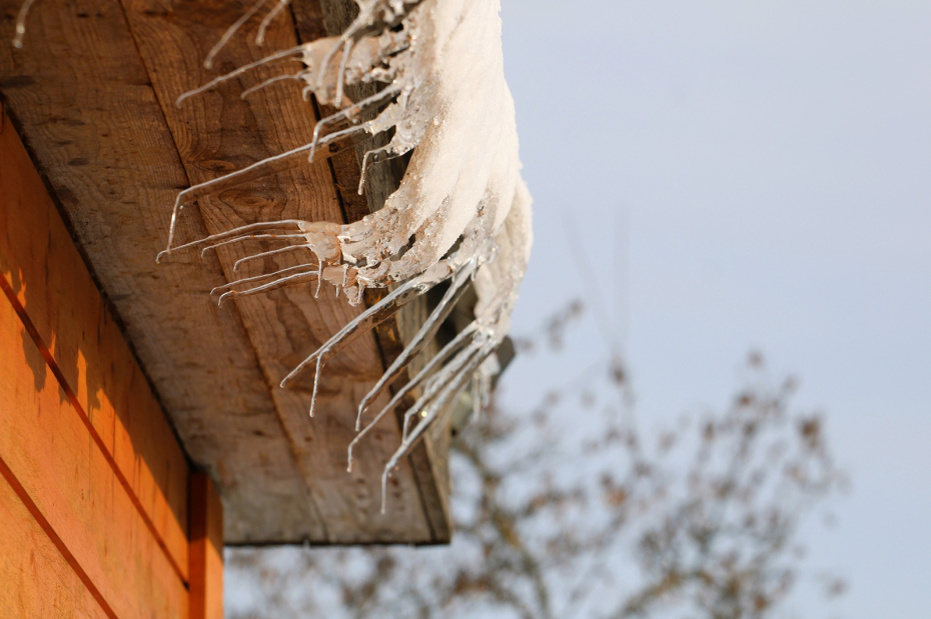    Shutterstock/FOTODOM