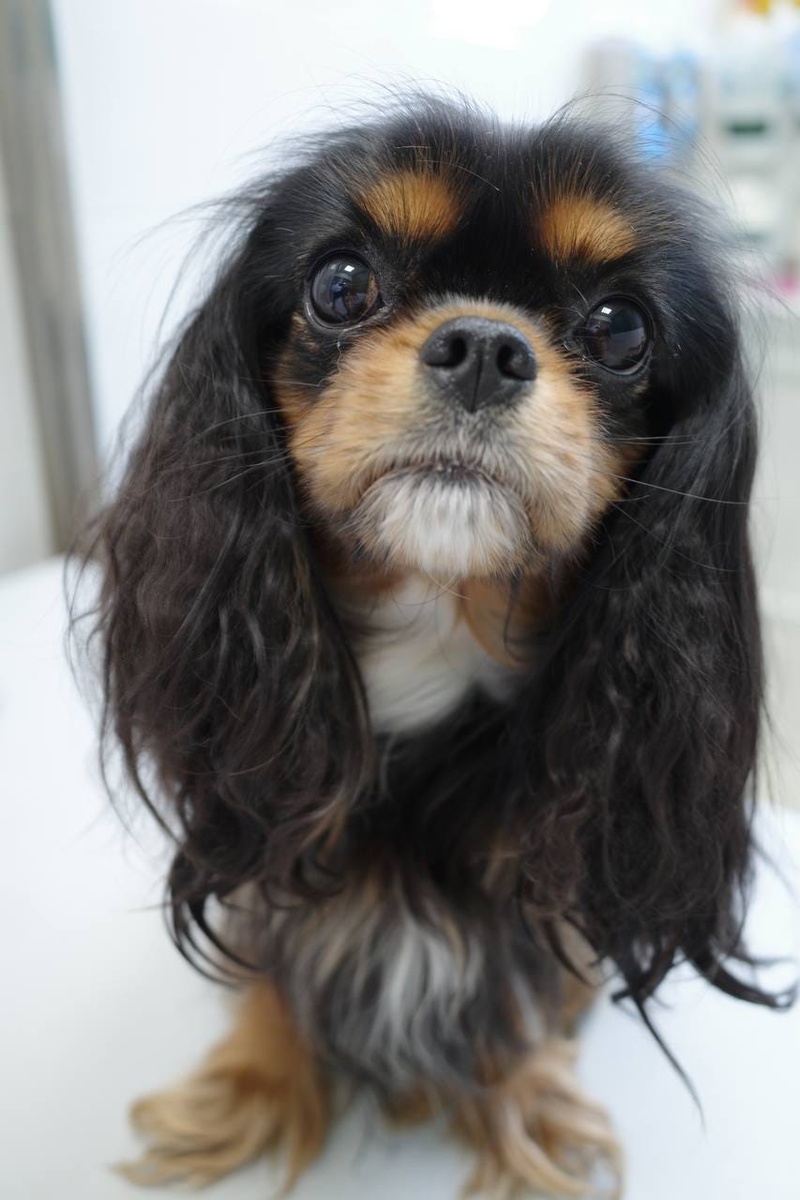 Создать карусель