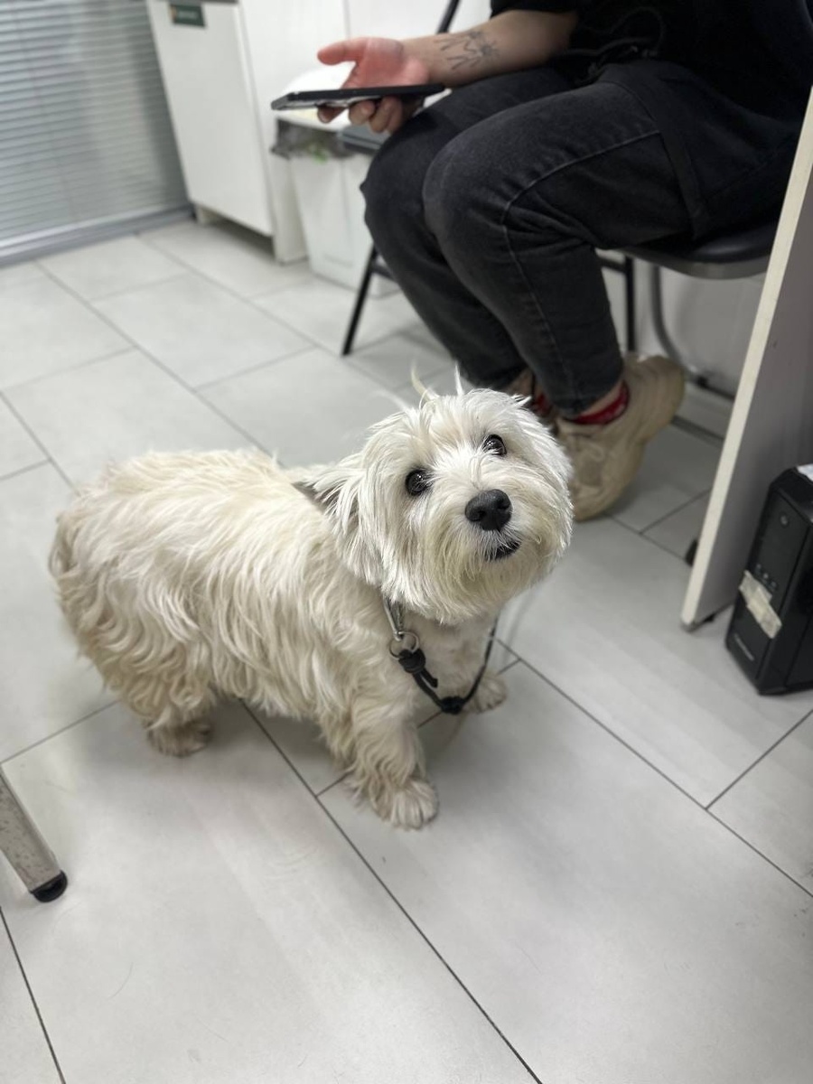 Создать карусель