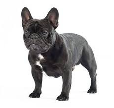 Создать карусель