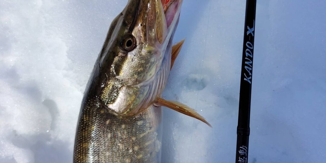 С лайтом в сложных условиях