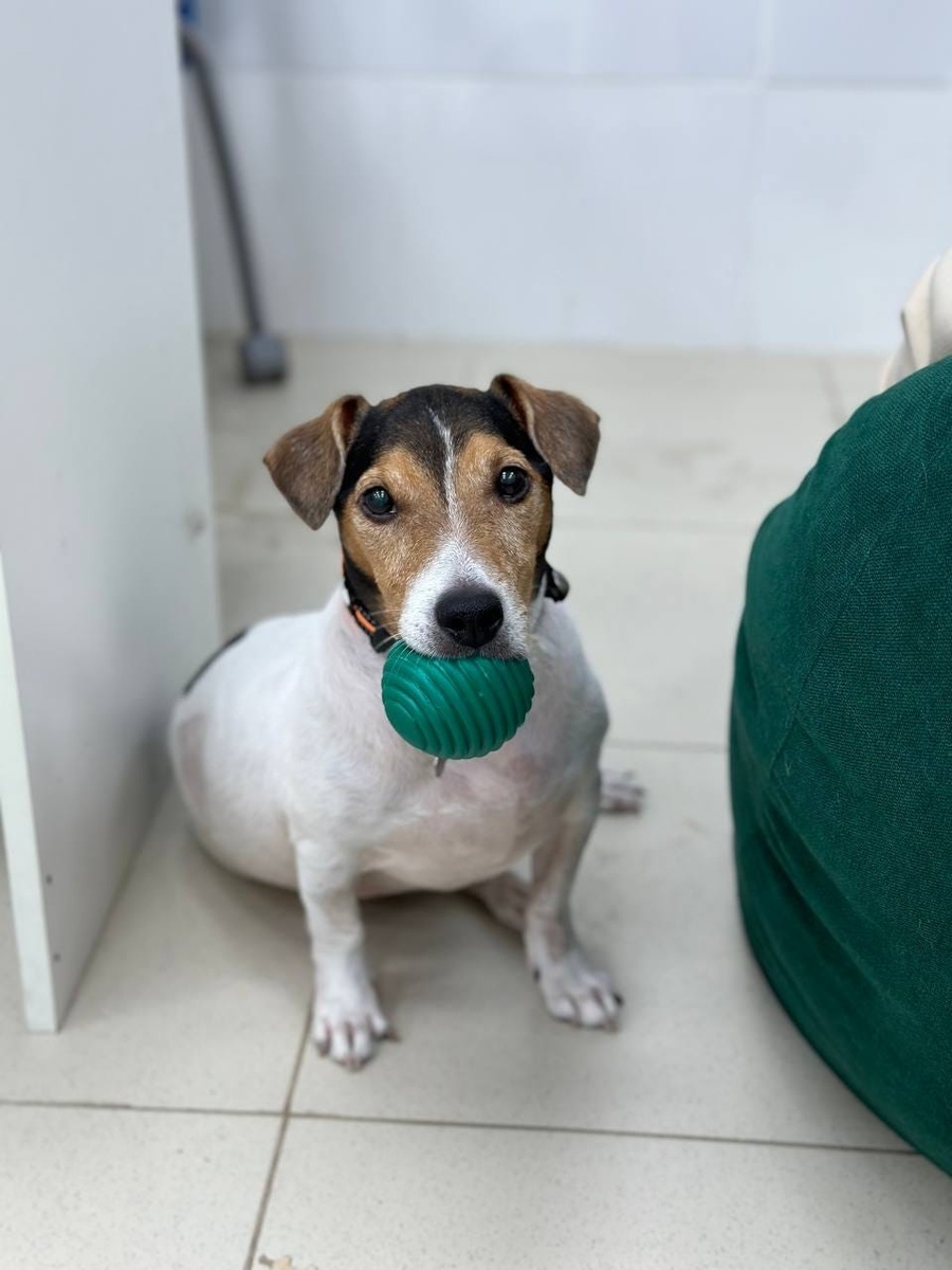 Создать карусель