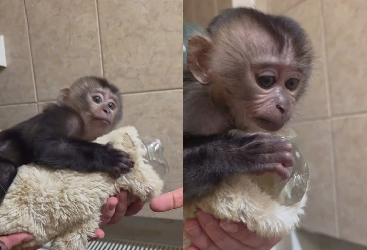 фото: t.me/lenzoopark