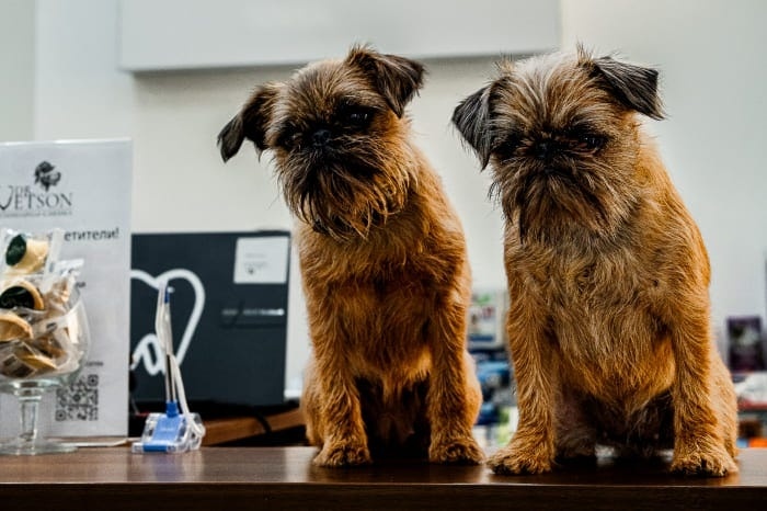 Создать карусель