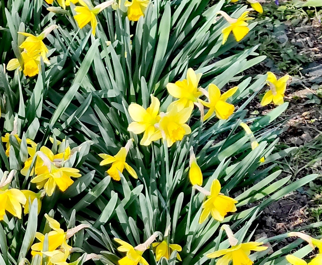 22 марта 2026 года